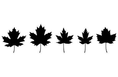 Black silhouette of maple leaves isolated on white background. Vector illustration.のイラスト素材