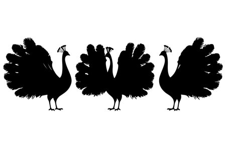 Silhouette of a turkey on a white background. Vector illustrationのイラスト素材