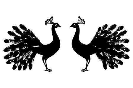 Peacock silhouettes. Vector illustration isolated on white background.のイラスト素材