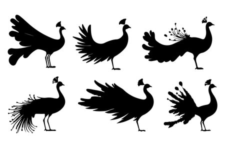 Peacock black silhouettes isolated on white background. Vector illustrationのイラスト素材