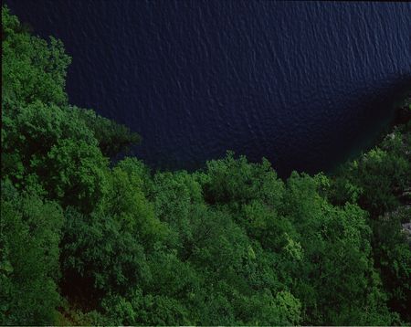 Forestの写真素材