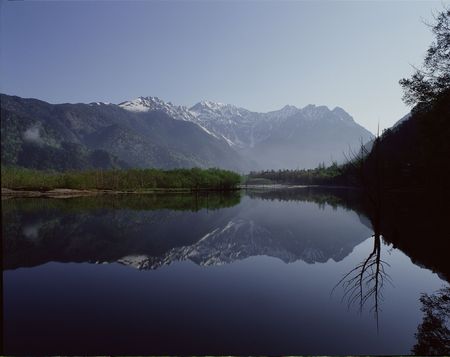 Forestの写真素材