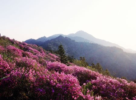 Mountain Viewの写真素材