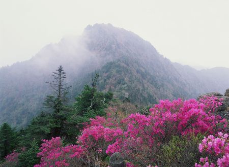 Mountain Viewの写真素材