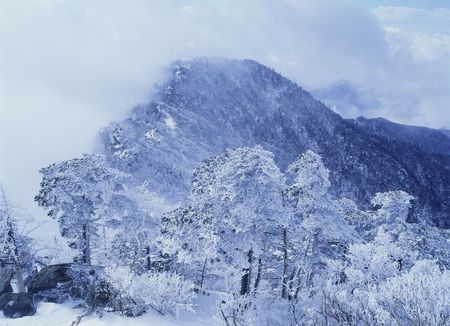 Mountain Viewの写真素材