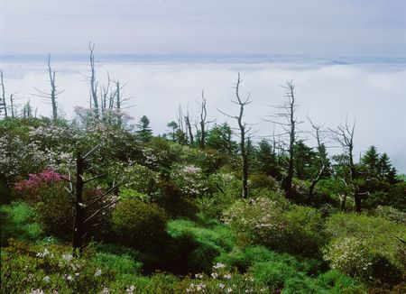 Mountain Viewの写真素材
