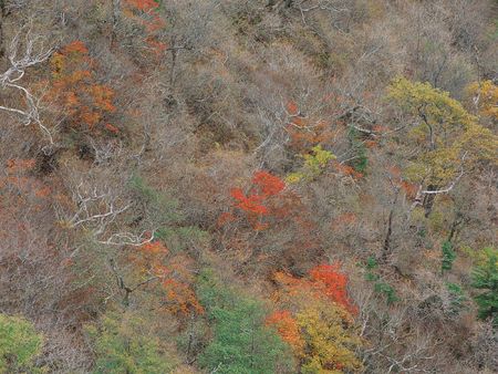 Mountain Viewの写真素材