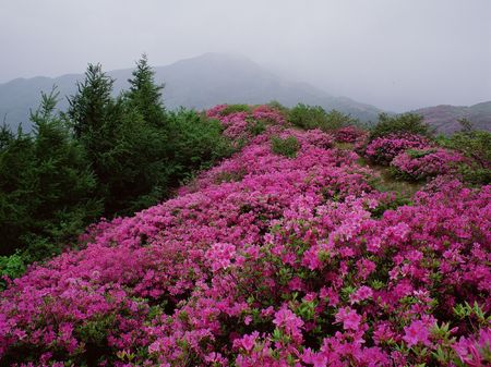 Mountain Viewの写真素材
