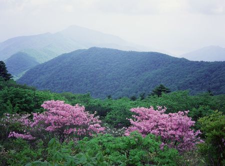 Mountain Viewの写真素材