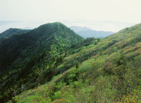 Mountain Viewの写真素材