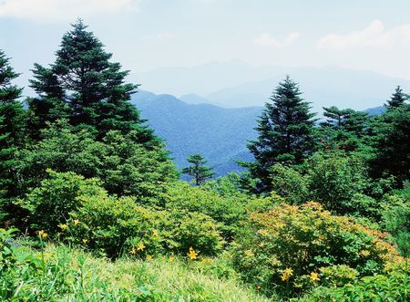 Mountain Viewの写真素材