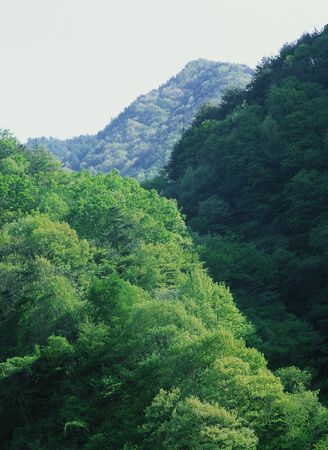 Mountain Viewの写真素材