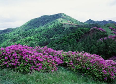Mountain Viewの写真素材