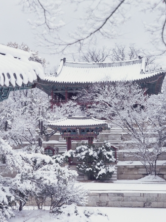 Buddhism Viewの写真素材