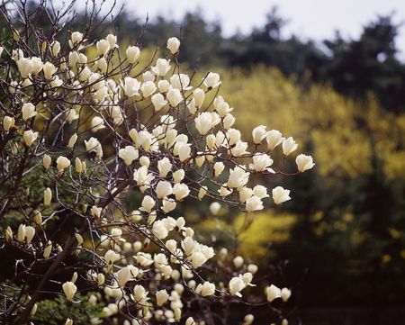 Fieldの写真素材