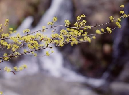 Fieldの写真素材