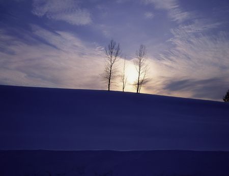Fieldの写真素材