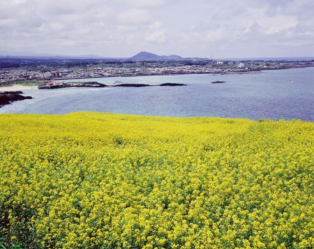 Mountain Viewの写真素材