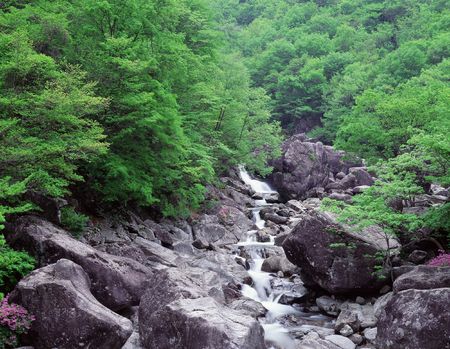 Valleyの写真素材