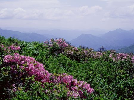 Mountain Viewの写真素材