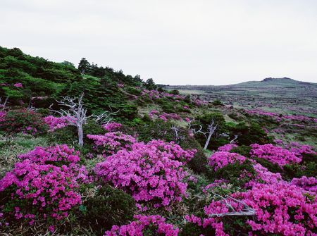 Mountain Viewの写真素材