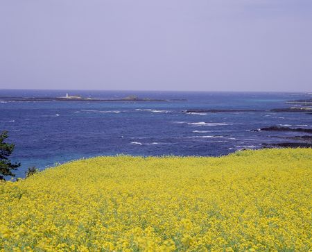 Mountain Viewの写真素材