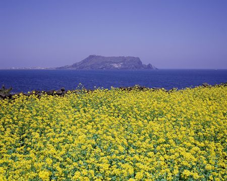 Mountain Viewの写真素材