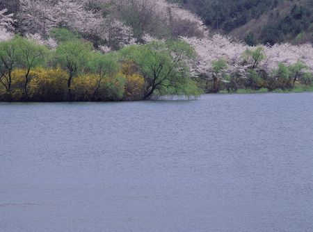 Mountain Viewの写真素材
