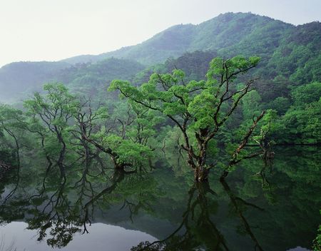 Mountain Viewの写真素材