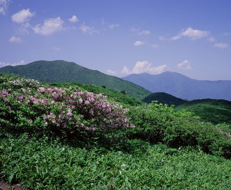 Mountain Viewの写真素材