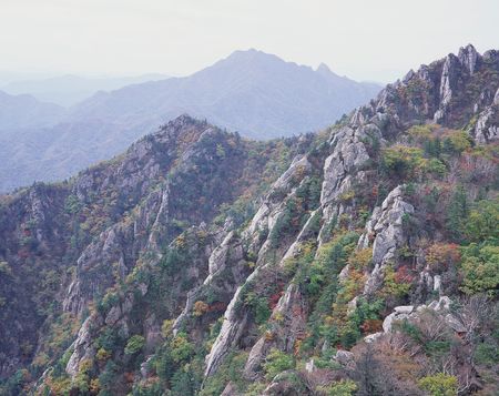 Mountain Viewの写真素材