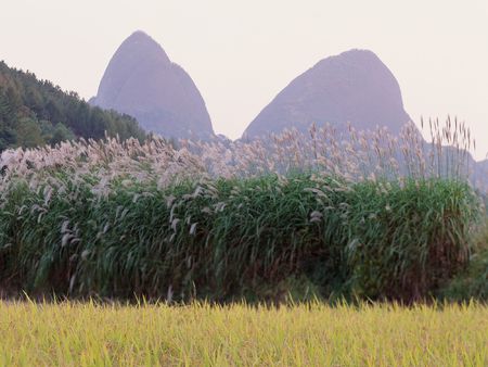 Mountain Viewの写真素材