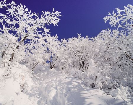 Mountain Viewの写真素材