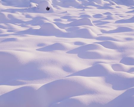 Mountain Viewの写真素材