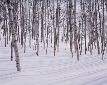 Mountain Viewの写真素材