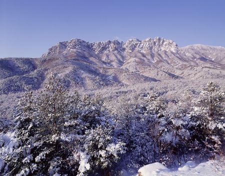 Mountain Viewの写真素材