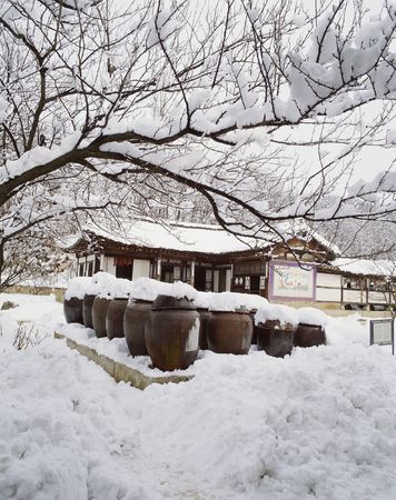 Mountain Viewの写真素材