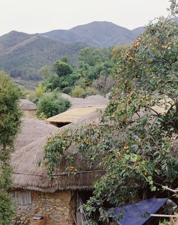 Korean Traditionの写真素材