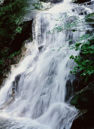 Valleyの写真素材