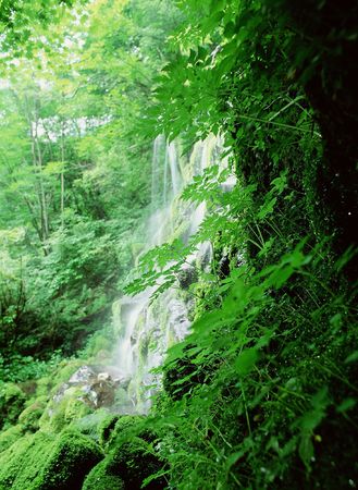 Valleyの写真素材