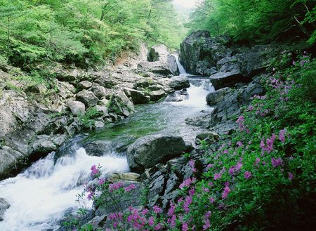 Valleyの写真素材