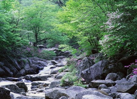 Valleyの写真素材