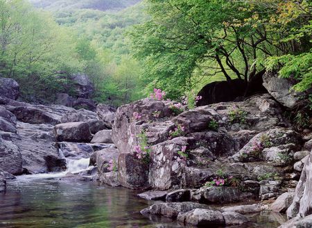 Valleyの写真素材
