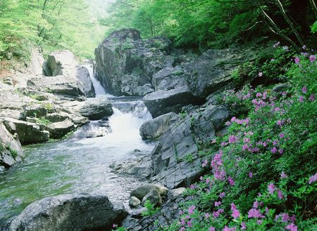 Valleyの写真素材
