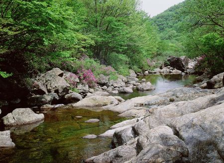 Valleyの写真素材