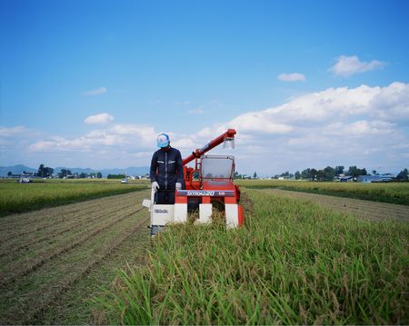 Cropの写真素材