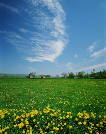 Nature Viewの写真素材