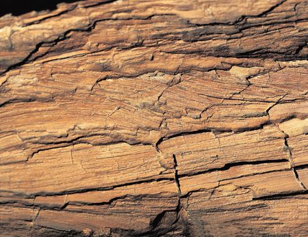 Wood Imageの写真素材