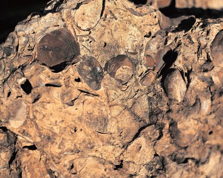 Stone Imageの写真素材