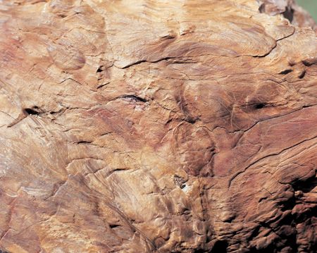 Stone Image